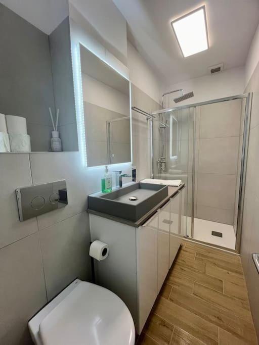 Cipariu Corner Apartment Cluj-Napoca Luaran gambar